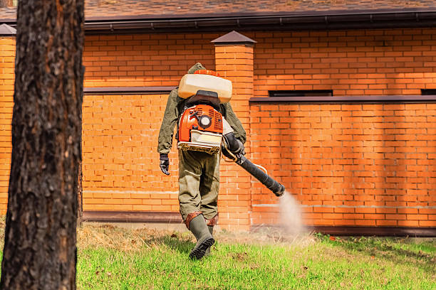 Trusted Rodent Control service in Lamar, CO - Nex Pest Control